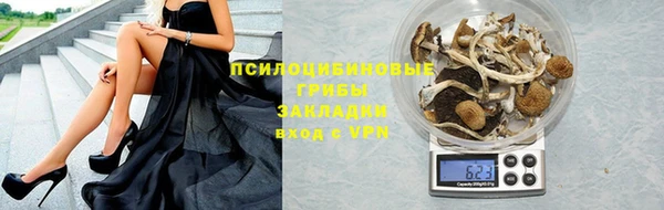 прущая мука Магадан