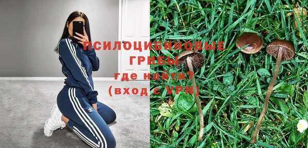 COCAINE Богородск