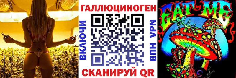 дарнет шоп  KRAKEN сайт  Псилоцибиновые грибы Psilocybe  Усмань 